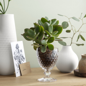 Бокал для вина Boston 310 мл, прозрачный