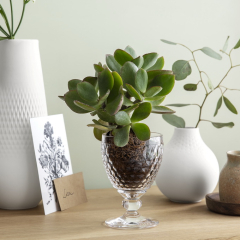 Бокал для вина Boston 310 мл, прозрачный