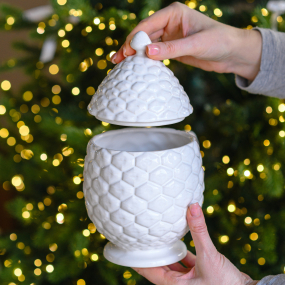 Шкатулка "Шишка" 24 см, белая