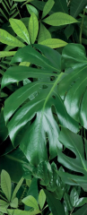 Керамогранит Panaria Ceramica Glam 50х100, Jungle C, 3,5 мм