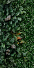 Керамогранит Panaria Ceramica Glam 50х100, Greenwall D, 3,5 мм 