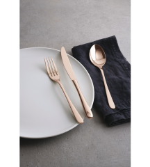 Набор столовых приборов Taste Champagne, 36 предметов