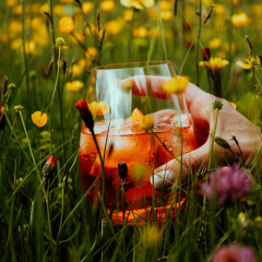 Набор бокалов Veloce 550 мл, 2 шт