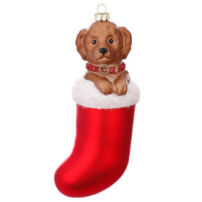 Елочная игрушка "Лабрадор в носке" 14 см