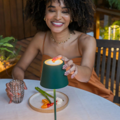 Лампа настольная Zafferano Poldina Pro 38 см, темно-зеленая