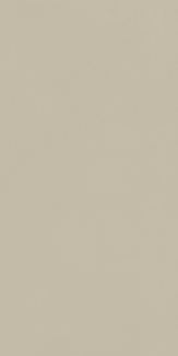 Керамогранит Italon Forum 60х120 Naturale, Slim Desert, 9 мм