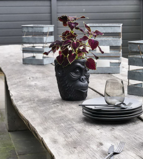 Кашпо "Горилла" 22х22 см