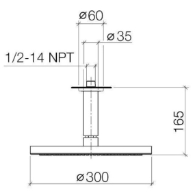 Лейка для душа Dornbracht Tara.Logic 30x30, с держателем, хром