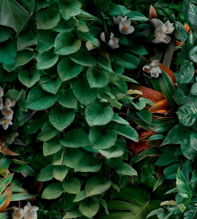 Керамогранит Panaria Ceramica Glam 50х100, Greenwall C, 3,5 мм 