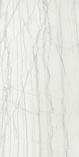 Керамогранит Italon Charme Advance 60х120 Cerato, Platinum White, 9 мм