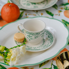 Чашка чайная/кофейная с блюдцем Rose Sage 200 мл