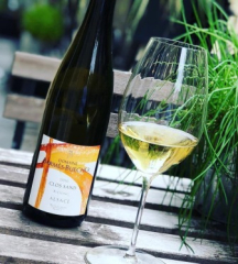 Набор бокалов для вина Riesling Performance 623 мл, 2 шт