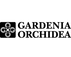 Gardenia Orchidea 