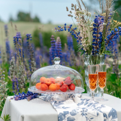 Блюдо для торта с крышкой Bossa Nova 32 см