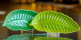 Блюдо "Листок" 28х12 см, цвет  в ассортименте