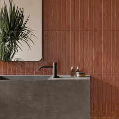 Керамогранит Rondine Colors 4,8х45, Red, 9,5 мм