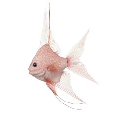 Игрушка на елку "Скалярия" 18 см, розовая