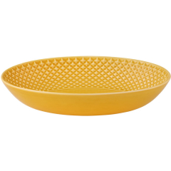 Блюдо овальн. глубокое Bicos Yellow 28х19,7 см