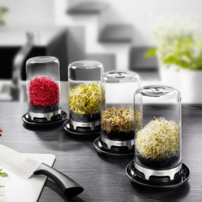 Банка для проращивания семян Bivita 18,4 см