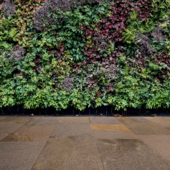 Керамогранит Imola Trail 60х60 N, Porfido Mix, 20 мм