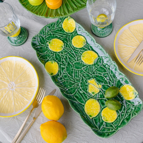 Блюдо прямоугольное Lemon 42,8х20,5 см