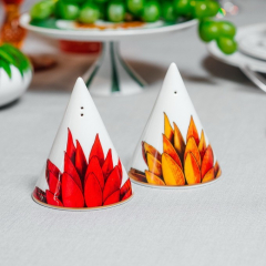 Набор из солонки и перечницы Amazonia