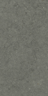 Керамогранит Italon Forum 60х120 Naturale, Stone Iron, 9 мм