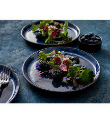 Тарелка столовая Bitz 27 см, цвет чёрный/синий