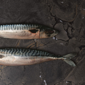 Керамогранит Imola The room 60х120 N, Infinity Brazil, 6,5 мм