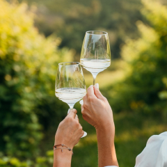 Бокал для белого вина Esperienze 450 мл