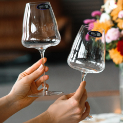 Бокал для вина Champagne Winewings 742 мл