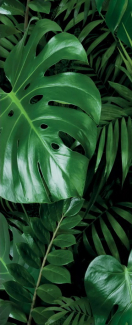 Керамогранит Panaria Ceramica Glam 50х100, Jungle A, 3,5 мм