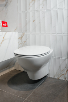 Унитаз подвесной RAK Ceramics Karla KAWC00003, с сиденьем