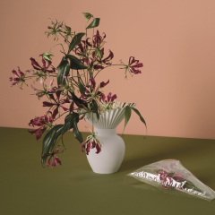 Ваза Falda 27 см