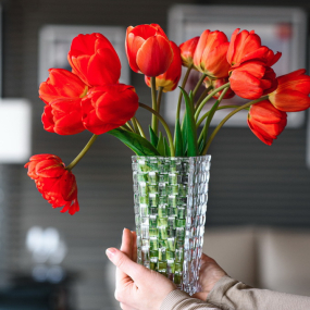 Ваза Bossa Nova 20 см