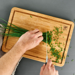 Доска разделочная Zwilling 35х25 см