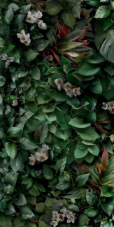 Керамогранит Panaria Ceramica Glam 50х100, Greenwall B, 3,5 мм