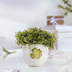 Кружка "Удачи" 290 мл