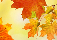 График работы 7 ноября